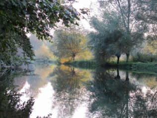 The River Avon