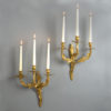 A 19th century pair of rococo ormolu candelabra