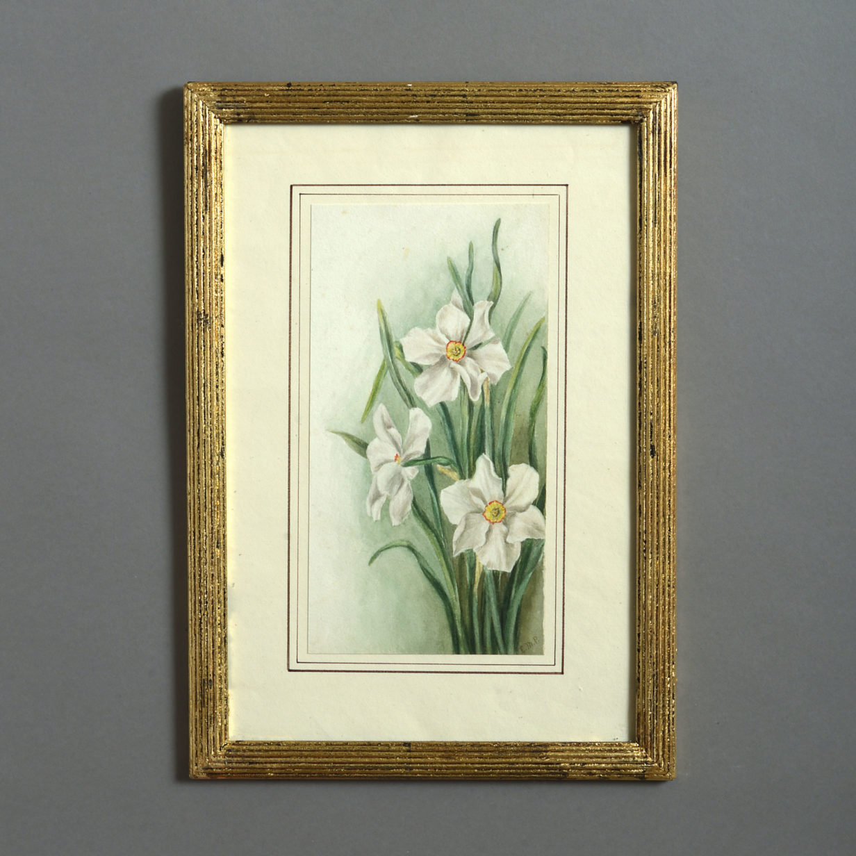 A late 19th century watercolour study of narcissi