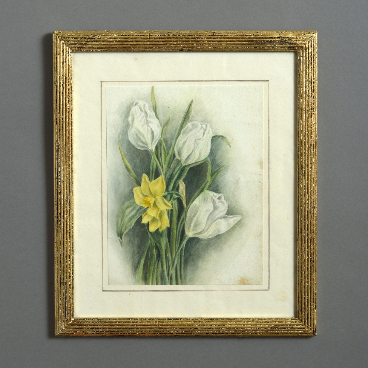 A late 19th century watercolour study of a daffodil and tulipos