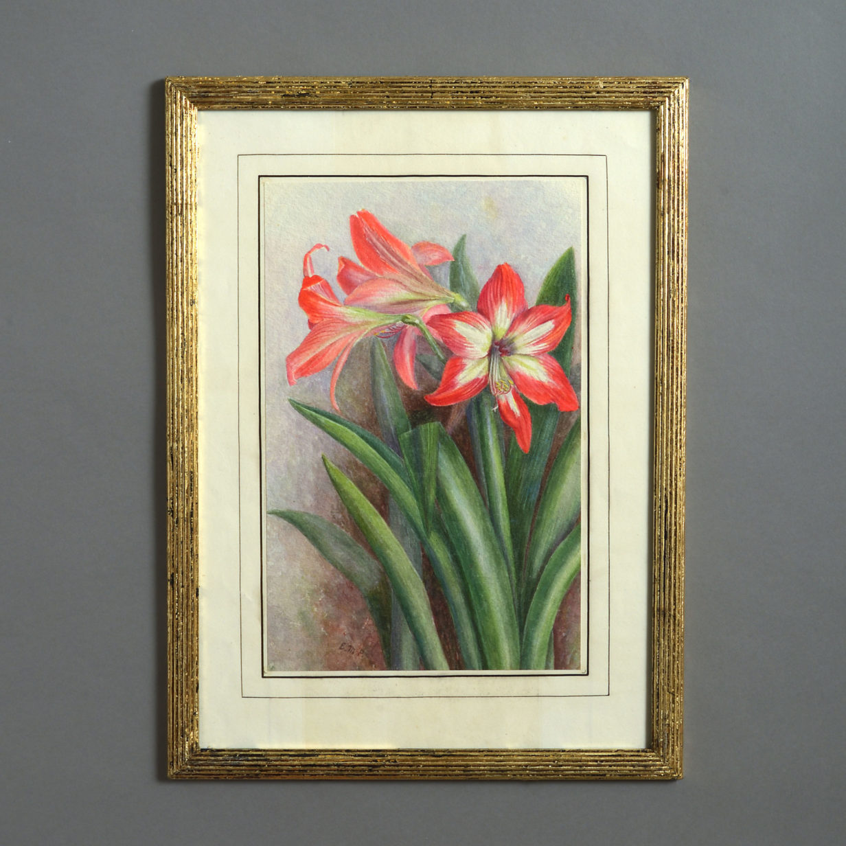 A Late 19th Century Botanical Watercolour Depicting Red Lilies