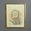 A late 19th century botanical watercolour