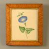 A mid-19th century, early victorian floral watercolour