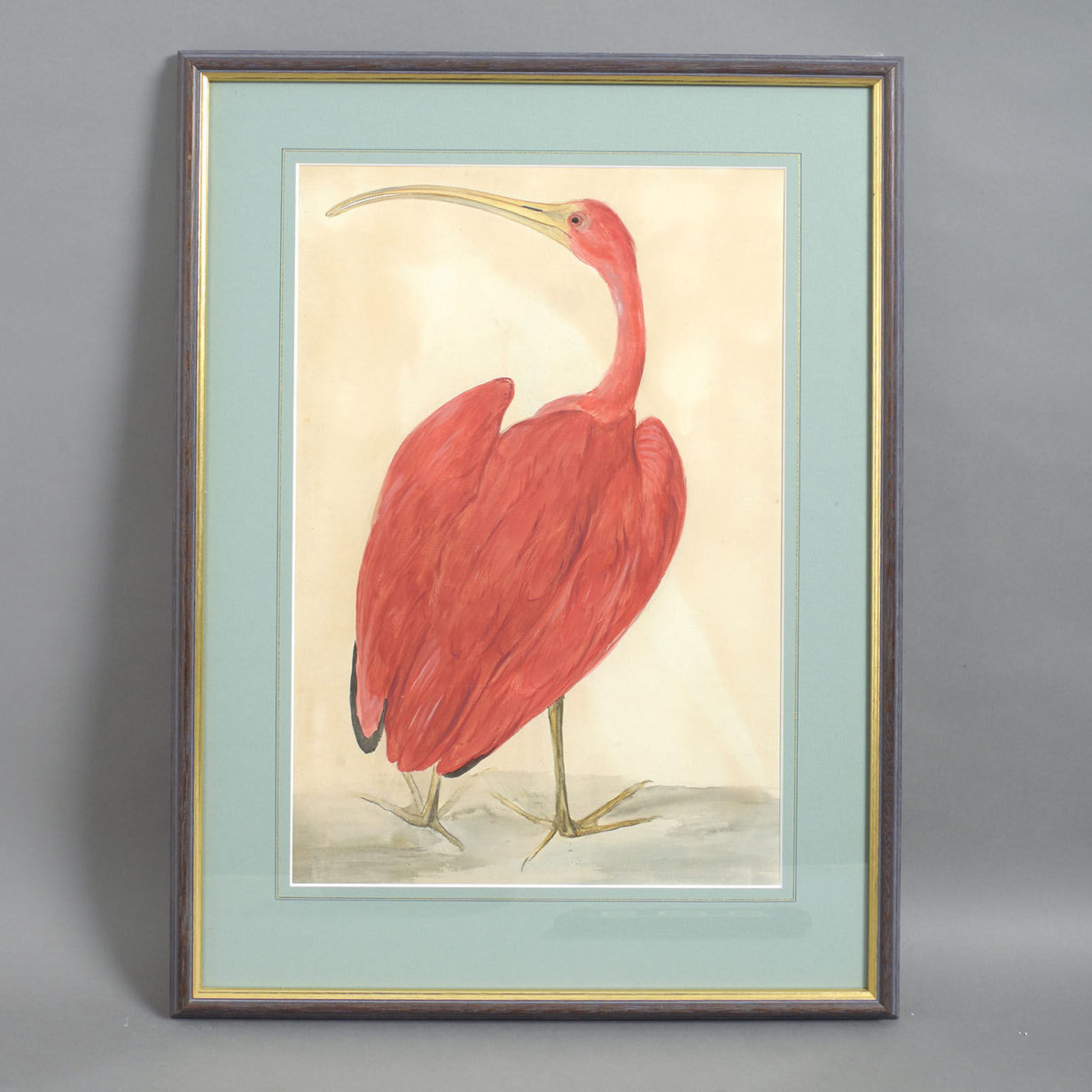 A rare set of five mid 18th century watercolours of birds