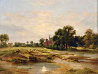 A view of eton from fellows' eyot