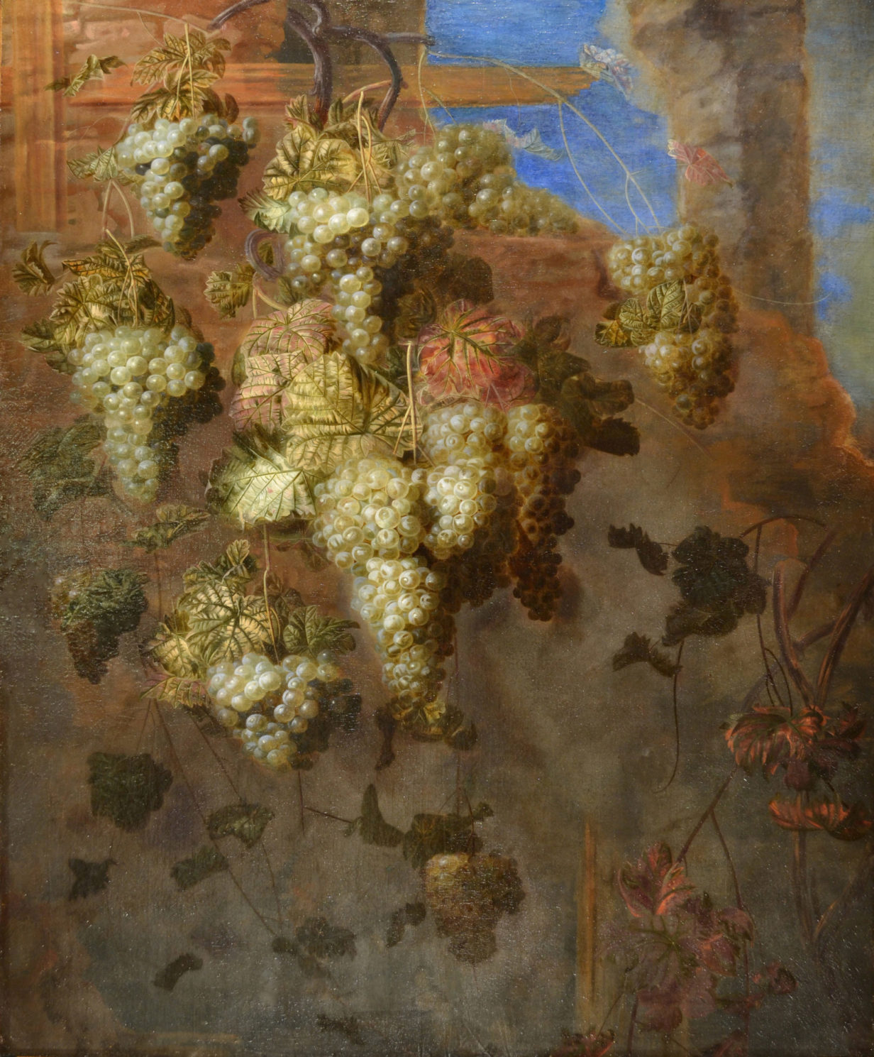 Attributed to pierre antoine lemoyne (1605-1665) - still life of vines