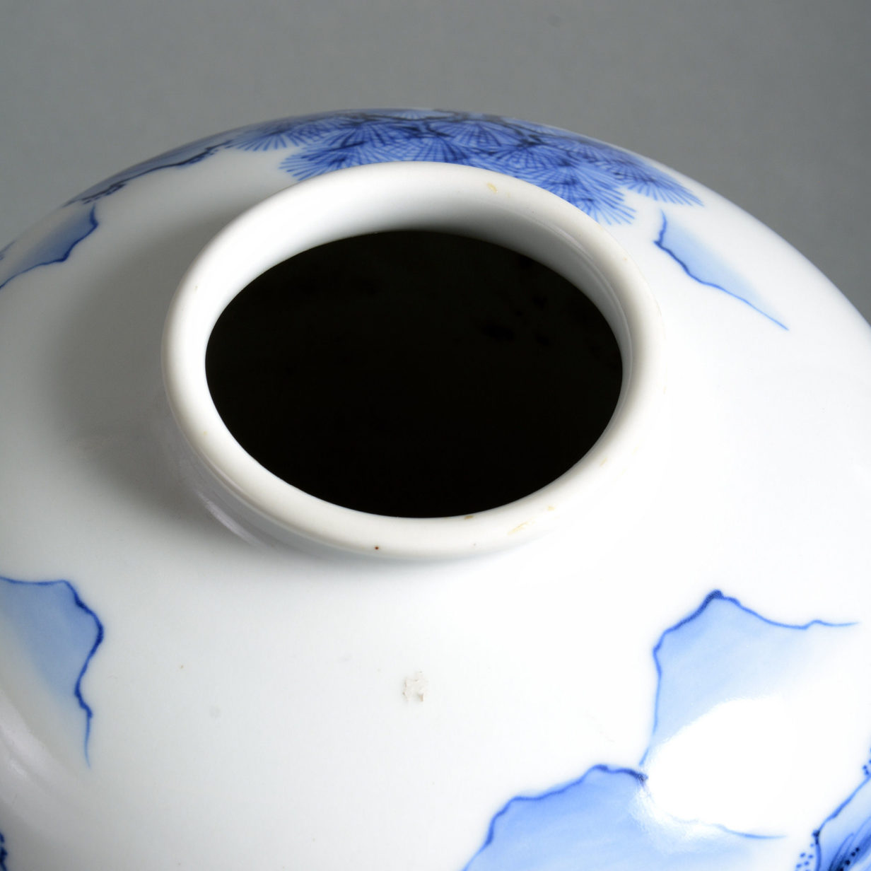 A 19th century blue & white porcelain vase