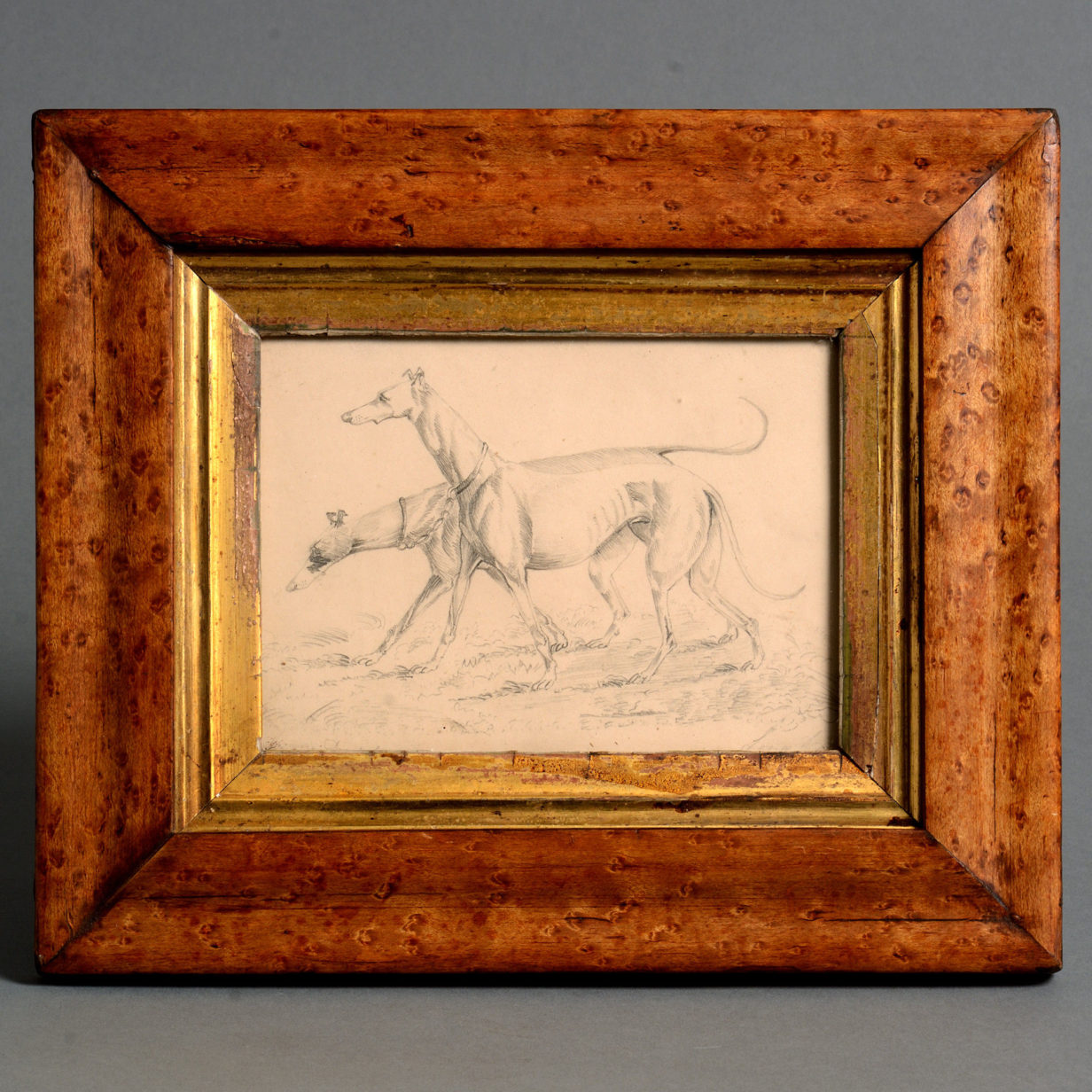 A 19th century dog portrait pencil sketch of two greyhounds