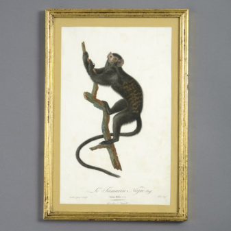 Four Monkey Prints