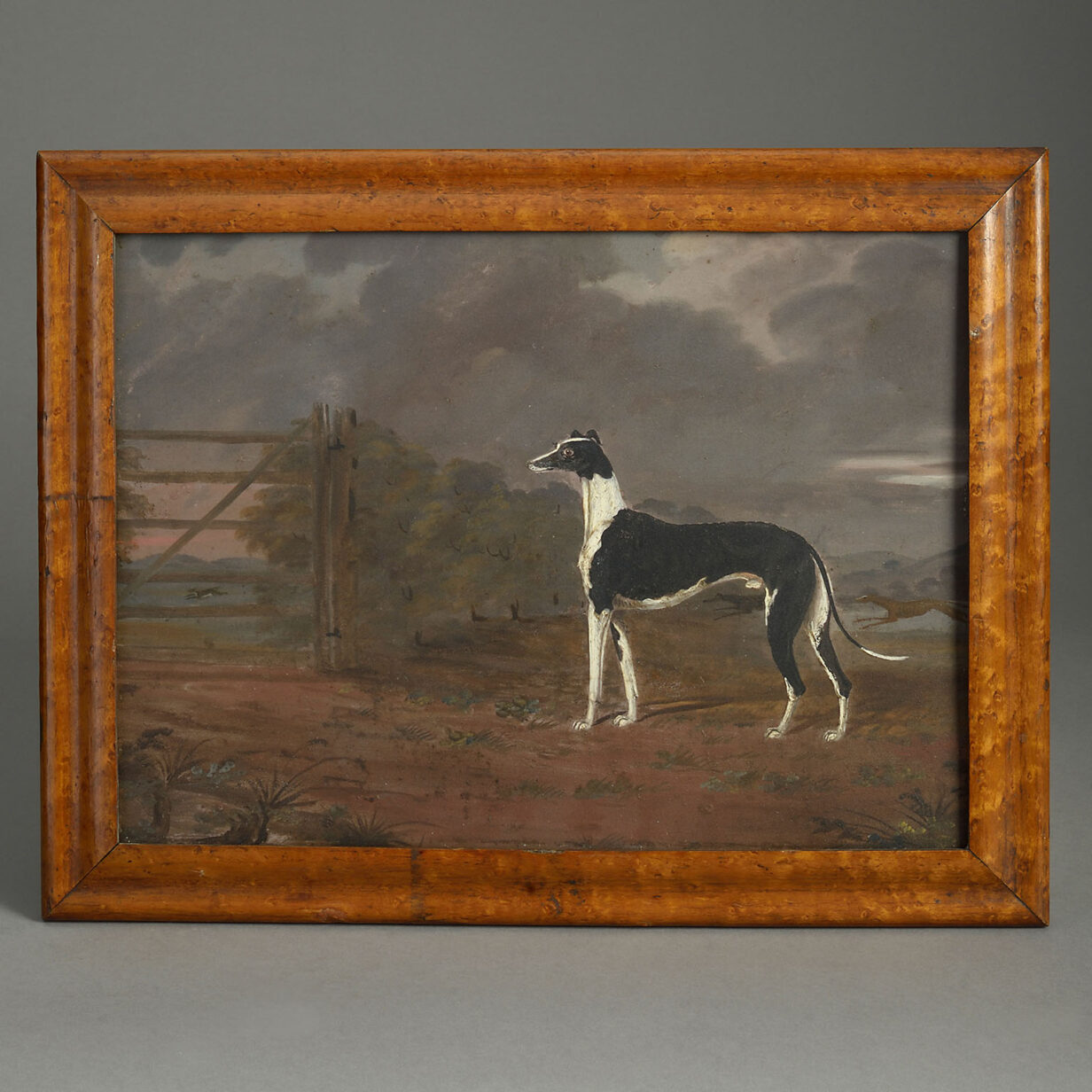 Oil of a greyhound