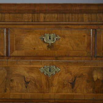 Burr walnut tall boy