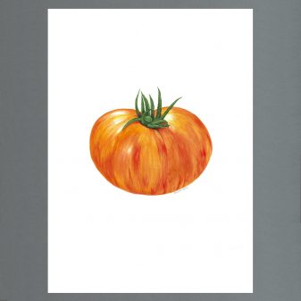 tomato-1
