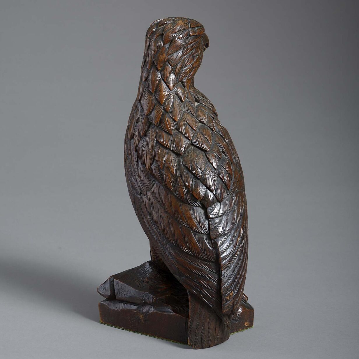 19th century carved oak black forest hawk