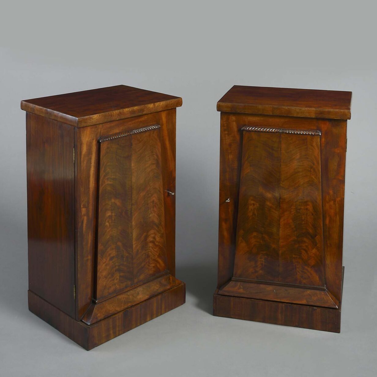 Pair of regency pedestal cabinets