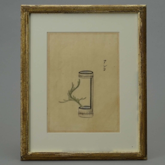 24 nineteenth century watercolour still life studies 7 24 antique japanese watercolours