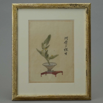 24 nineteenth century watercolour still life studies 8 24 antique japanese watercolours