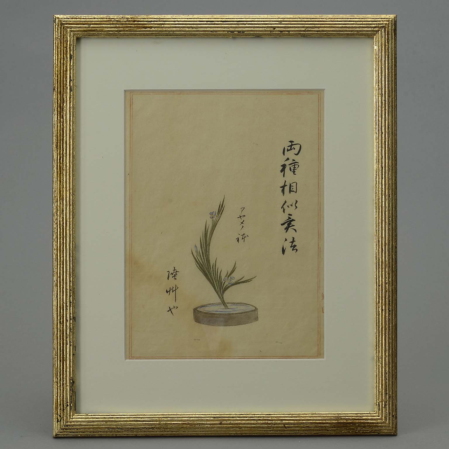 4027-147 24 nineteenth century watercolour still life studies